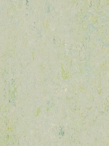 Muster: m-wms3430-2,5 Forbo Marmoleum Splash Linoleum Naturboden salsa verde