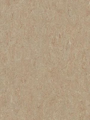 Muster: m-wmt5803-2,5 Forbo Marmoleum Terra Linoleum Naturboden weathered sand