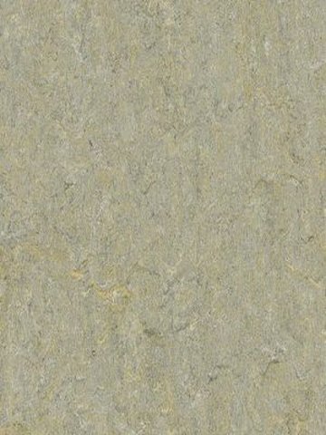 Muster: m-wmt5801-2,5 Forbo Marmoleum Terra Linoleum Naturboden river bank