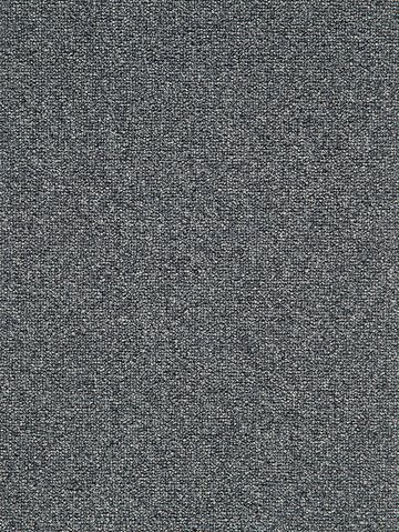 Muster: m-wProRA9800 Profilor Racoci Objekt Teppichboden Asphaltgrau
