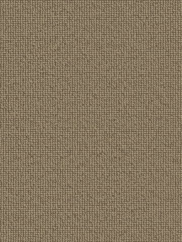 Muster: m-wVES087G03 Vorwerk Best of Living Essential 1008 Teppichboden getuftete Schlinge, strukturiert Bahamabeige