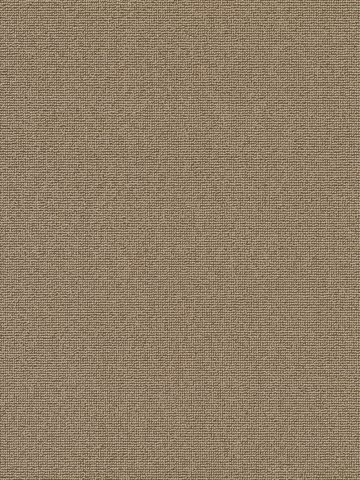 Muster: m-wVES087G04 Vorwerk Best of Living Essential 1008 Teppichboden getuftete Schlinge, strukturiert Cappucino