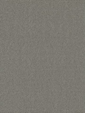 Muster: m-wVES085V78 Vorwerk Best of Living Essential 1008 Teppichboden getuftete Schlinge, strukturiert Elefantengrau