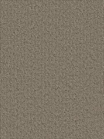 wVES087G02 Vorwerk Best of Living Essential 1008 Rustica Teppichboden getuftete Schlinge, strukturiert Samtbeige