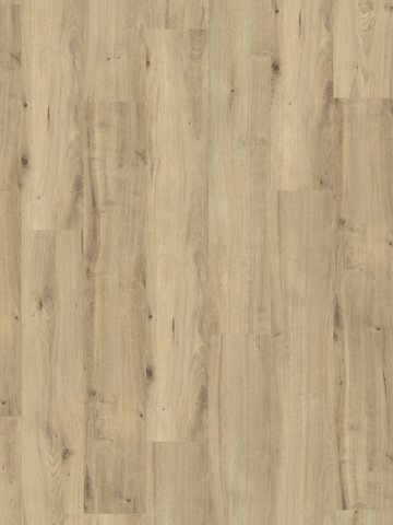 Amorim WISE Wood Pro SRT Field Oak Korkboden zum Verkleben
