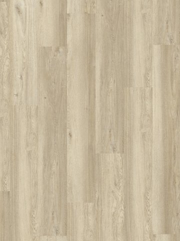 Amorim WISE Wood Pro SRT Ocean Oak Korkboden zum Verkleben