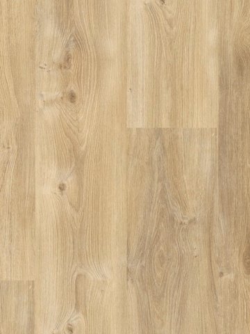 wA-79995 Adramaq Kollektion ONE Wood Planken zum Verkleben Eiche Naturell braun