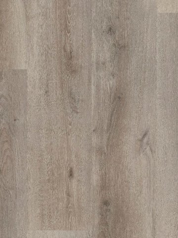 wA-79985 Adramaq Kollektion ONE Wood Planken zum Verkleben Eiche gebrstet grau