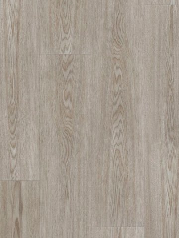 wA-CL89995 Adramaq Kollektion TWO Click Wood Planken zum Klicken Graueiche