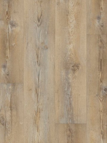 wA-CL89989 Adramaq Kollektion TWO Click Wood Planken zum Klicken Skandinavische Pinie Natur