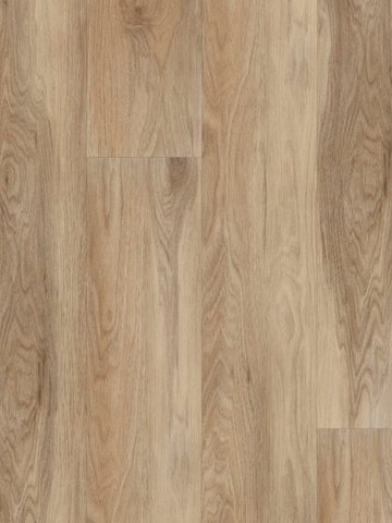 wA-CL89985 Adramaq Kollektion TWO Click Wood Planken zum Klicken Ulme Natur