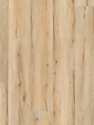wA-CL89984 Adramaq Kollektion TWO Click Wood Planken zum Klicken Kernbuche