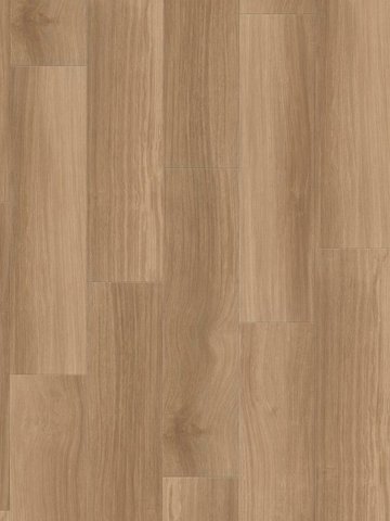 wA-RCL99993 Adramaq Kollektion THREE Wood Click Wood...