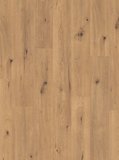 wE368454 Egger 7/31 Classic Laminatboden Wood Planken mit...