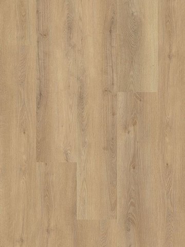 wMLD834WXL-800w Wineo 800 Wood XL Click Multi-Layer...