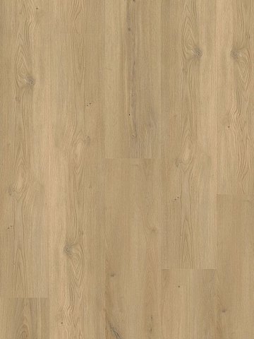 wMLD833WXL-800w Wineo 800 Wood XL Click Multi-Layer...