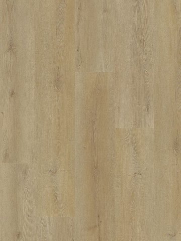 wMLD836WXL-800w Wineo 800 Wood XL Click Multi-Layer...