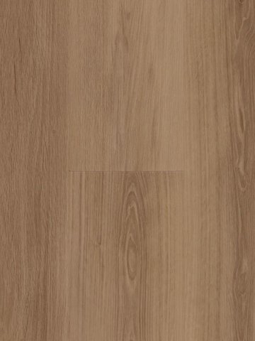 Profilor  Zentrum Rigid Acoustic  Monsanto Rigid...