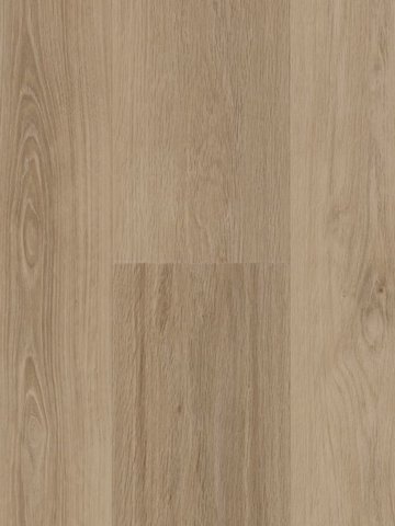 Profilor  Zentrum Rigid Acoustic  Orlando Rigid...