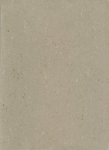 w8940043 Gerflor DLW Colorette Neocare Linoleum light mud...