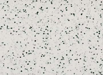 w86630350 Gerflor Mipolam Vinyl homogen EL 5 Rolle...